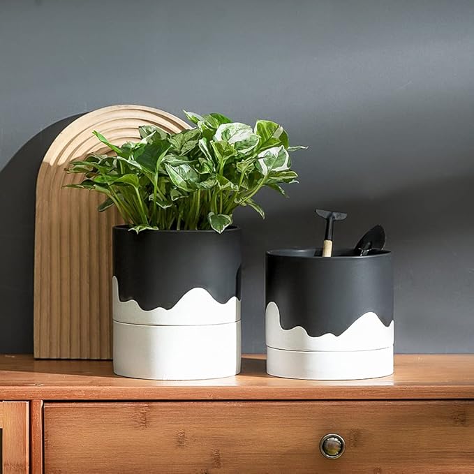 Nihow Ceramic Plant Pot: 6 Inch Planter with Drainage Hole & Saucer for Indoor & Outdoor Plants - Cylinder Round Flower Pot for Succulent/Herbs/Violets - Black & Wave White - Bloomnest