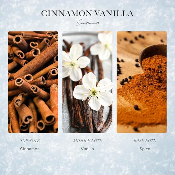 Scentiment Diffuser Oil - Cinnamon Vanilla Winter Collection | Aromatherapy Home Fragrance | Luxurious Scent with Notes of Vanilla, Cinnamon and Spices (20ml) - Bloomnest