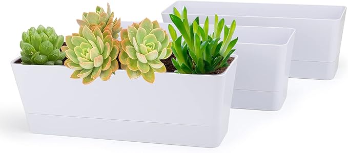 GREANER Flower Boxes, 3 Pack 12x3.8 Inch Rectangle Window Boxes, Herb Planters with Tray, Indoor Succulent Cactus Flowers Plastic Drawable Pot for Windowsill, Garden, Balcony, Office Outdoor (White) - Bloomnest