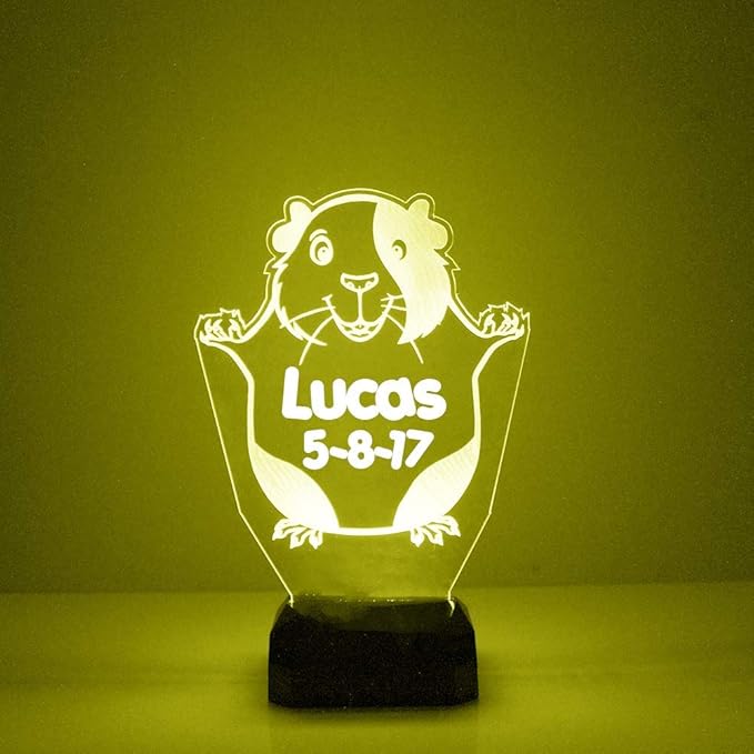 Hamster Custom 3D Illusion Lamp with Remote | LED Night Light with Personalized Name, Logo, Image, Design | 4 Modes, 16 Light Colors | USB or Battery Power | Made in The USA - Bloomnest