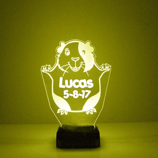 Hamster Custom 3D Illusion Lamp with Remote | LED Night Light with Personalized Name, Logo, Image, Design | 4 Modes, 16 Light Colors | USB or Battery Power | Made in The USA - Bloomnest