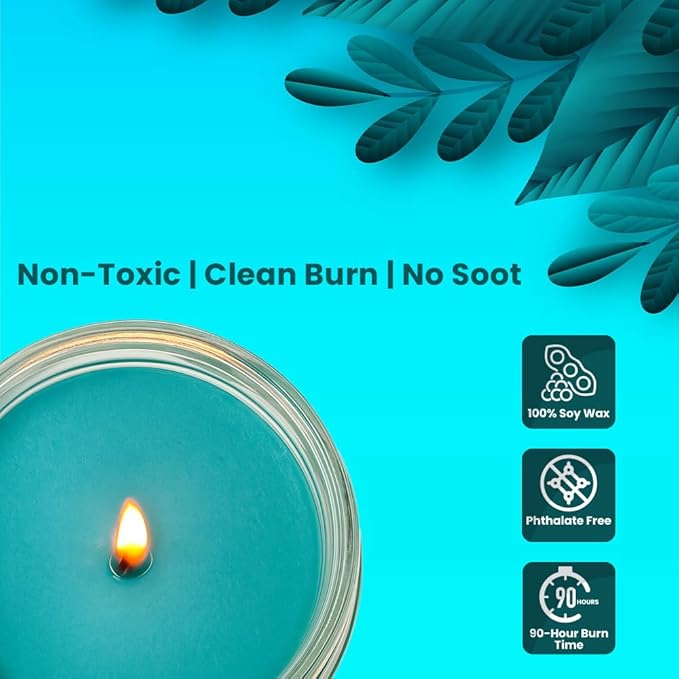 Candle Set Tropical Breeze Odor Eliminating – 2 Pack - 12oz – Long-Lasting Soy Wax Candles – Neutralizes Pet, Kitchen & Smoke Odors – Clean Burn, Eco-Friendly, Aromatherapy Candle - Bloomnest