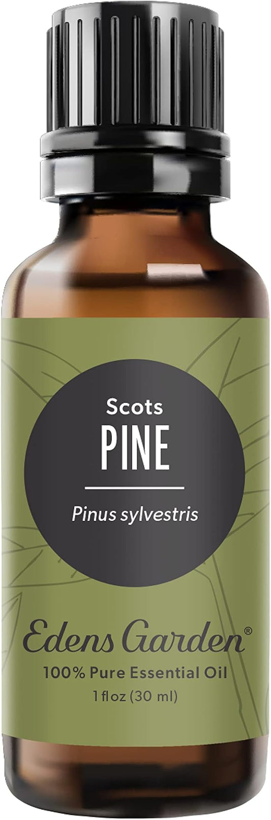 Edens Garden Pine- Scots Essential Oil- 100% Pure Premium Grade, Undiluted, Natural, Therapeutic, Aromatherapy, The Best for Diffuser, Candle, Humidifiers, Kid Safe 30 ml (1 fl oz) - Bloomnest