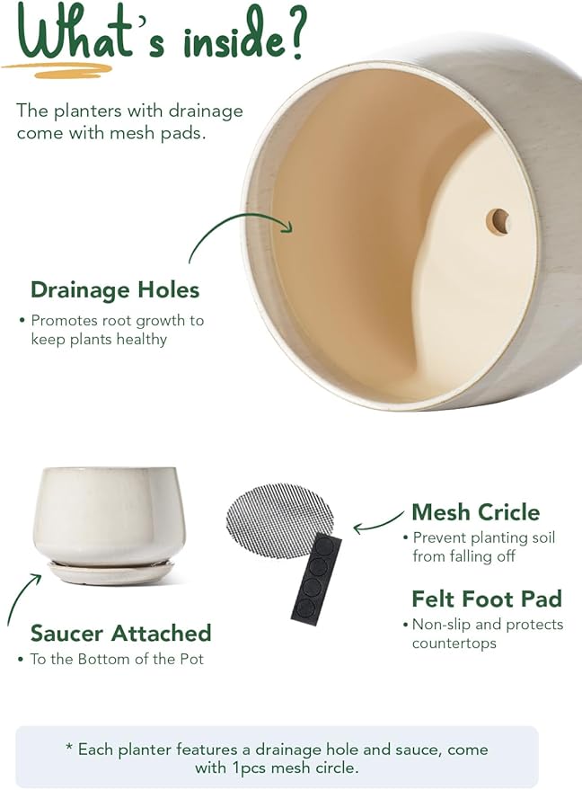LE TAUCI 12 Inch Pots for Plants, Ceramic Planter with Drainage Hole & Saucer, Thick-Walled Ceramic, Planters for Indoor Plants, Ideal for Living Room & Entryway, Reactive Glaze Beige - Bloomnest