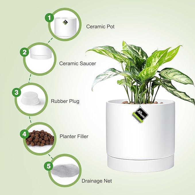 Aveyas 10 inch Ceramic Plant Pot with Drainage Hole and Saucer - Suitable for Indoor and Outdoor Use, Modern Planters for House Garden Flower Tree Snake Monstera Plants (10", Matte White) - Bloomnest