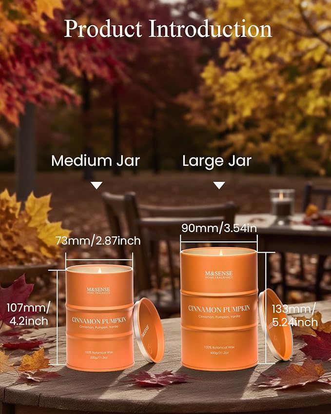 M&SENSE Cinnamon Pumpkin Scented Candles Natural Non Toxic, Aromatherapy Candle for Stress Relief Meditation Relaxing, Housewarming Gifts for Women Men, 11.3oz 70 Hour Long Burning - Bloomnest