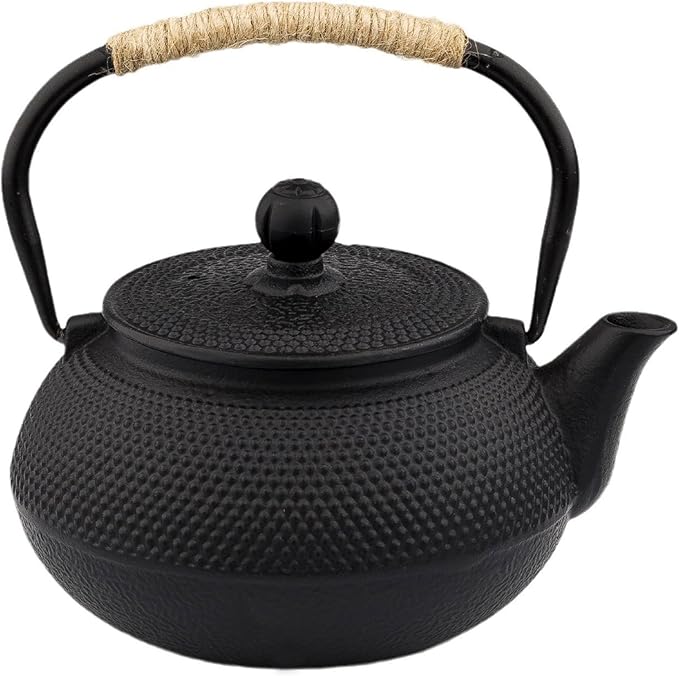20.3oz Only, Small Tea Kettle for 1-2 Cups, Japanese Tetsubin, Cast Iron Teapot with Stainless Steel Infuser for Loose Leaf & Coffee, Tea Pot for Stovetop Safe, Enamel Interior(Black, 600ml) - Bloomnest