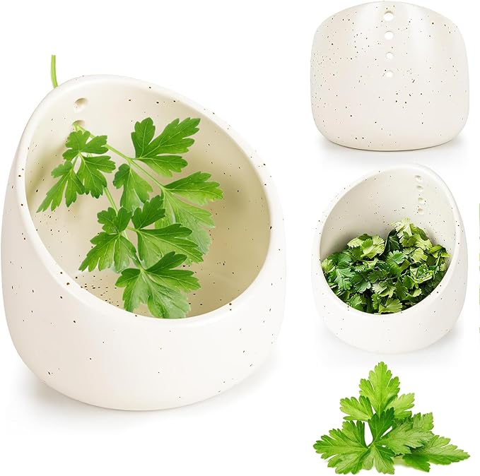 Pottery Herb Stripper Bowl, Handmade Ceramic Herb Peeling Bowl, for Separating Leaves and Stems (White) - Bloomnest