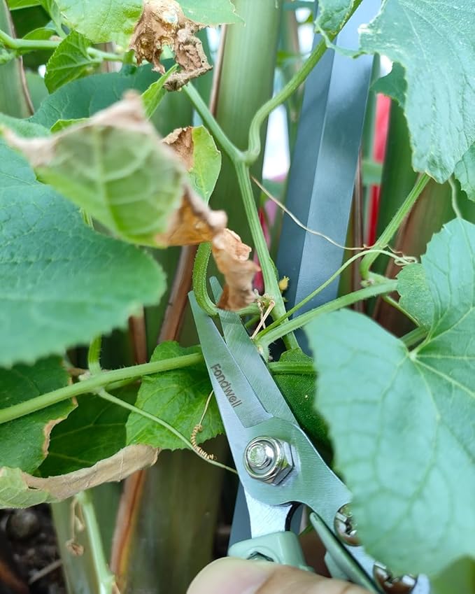 Fondwell 6" Pruning Shears Garden Scissors: Ultra Sharp Garden Clippers - Reliable Flower Snips for Trimming Small Plants - Bloomnest