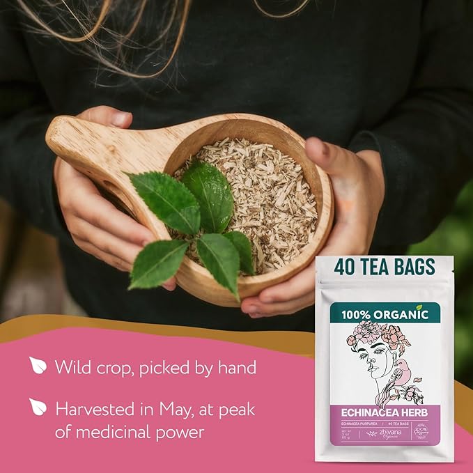 Echinacea Tea Organic (40 Tea Bags) - 100% Pure Natural Immunity Support - Equinacea Organica - Herbal Infusion - Caffeine-Free - Bloomnest
