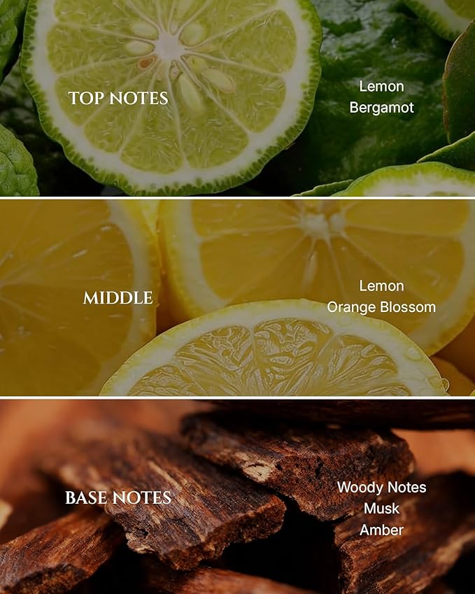 Citrus Hotel Diffuser Oil Inspired by Luxury Hotel Scent, Essential Oils for Waterless Diffuser, Luxury Lemon & Bergamot, Long-Lasting & Natural Home Fragrance - 6.76 fl oz (200 mL) - Bloomnest