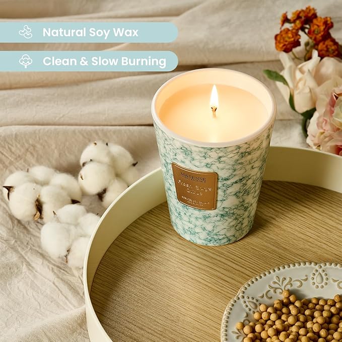 M&SENSE FreshSage Citrus Scented Candles for Home, Lead-Free Wick Highly Scented Jar Candles, 14.1 Oz 80 Hours Lasting Burning Candles Gifts for Women, Relaxing Aromatherapy Candle for Stress Relief - Bloomnest