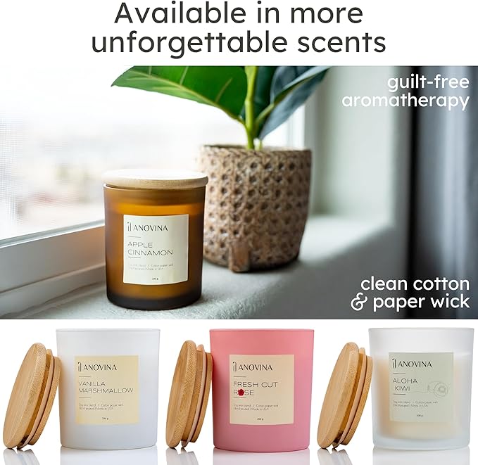 Anovina Apple Cinnamon Candle – Soy Wax Blend with Apple & Cinnamon Scent – Non-Toxic Fall Candle Jar for Home Décor, Autumn Gifts, Cozy Holiday & Seasonal Home Fragrance - Bloomnest