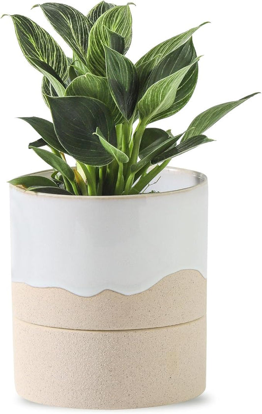 Nihow Self Watering Plant Pot: 4.5 Inch Ceramic Planter with Drainage Hole & Water Storage Plus for Indoor & Outdoor Plants - Cylinder Flower Pot for Herbs/Violets - White & Nature - Bloomnest