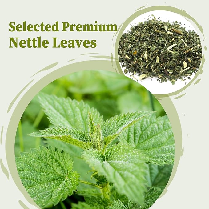 FullChea - Nettle Leaf Tea Bags, 25 Teabags, 1.5g/bag - Naturally Stinging Nettle Tea - Support Eye Health & Strengthen Bones - Bloomnest