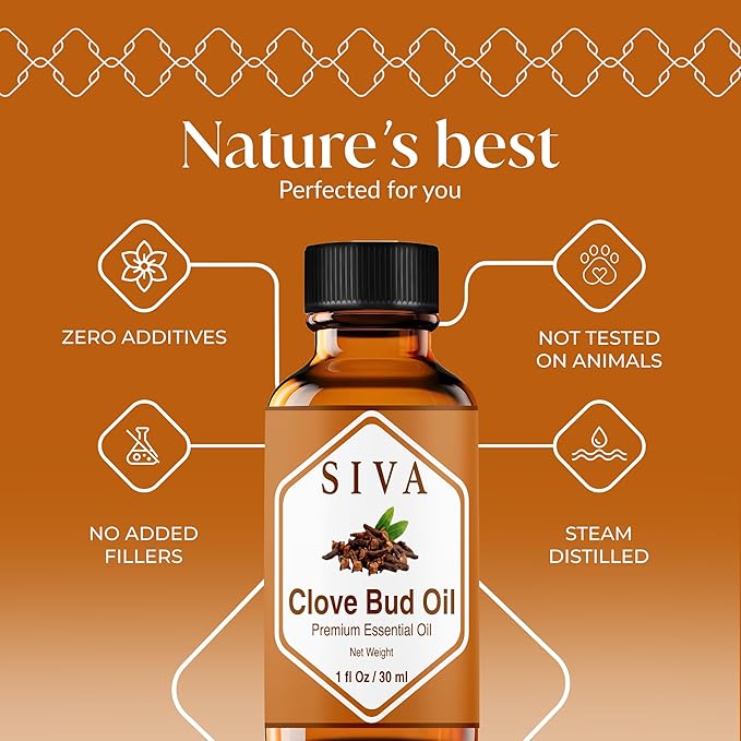 Siva Clove Bud Essential Oil - 1 Fl Oz – 100% Natural Clove Bud Oil - for Diffuser, Face, Skin Care, Aromatherapy, Hair Care, Scalp and Body Massage - with Dropper - Bloomnest