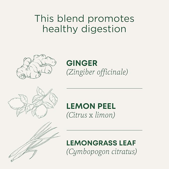 Traditional Medicinals Organic Lemon Ginger Tea, 1.13 Oz, 16 Count - Bloomnest