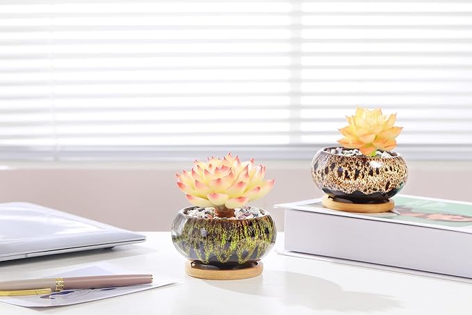 Cute Ceramic Succulent Garden Pots, Planter with Drainage and Attached Saucer, Set of 5 -Plants Not Included (Vivid Colors) - Bloomnest