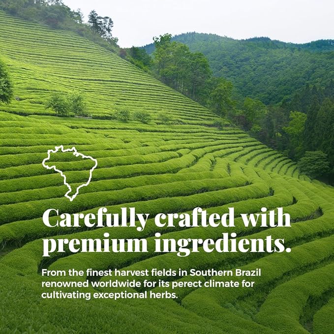 Life by Sublime - Vivacious USDA Organic Green Tea, 20 Tea Bags, Caffeinated, Antioxidant-Rich, Supports Skin Health and Immune System, Less Bitter, Premium Brazilian Harvest - Bloomnest