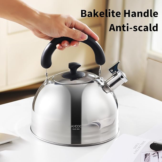 Whistling Tea Kettle for Stovetop, 5L Stainless Steel Tea pot Kettles,Striped frosted water pot, Large kettle teapot with Cool Touch Ergonomic Handle(Mirror Polish) - Bloomnest
