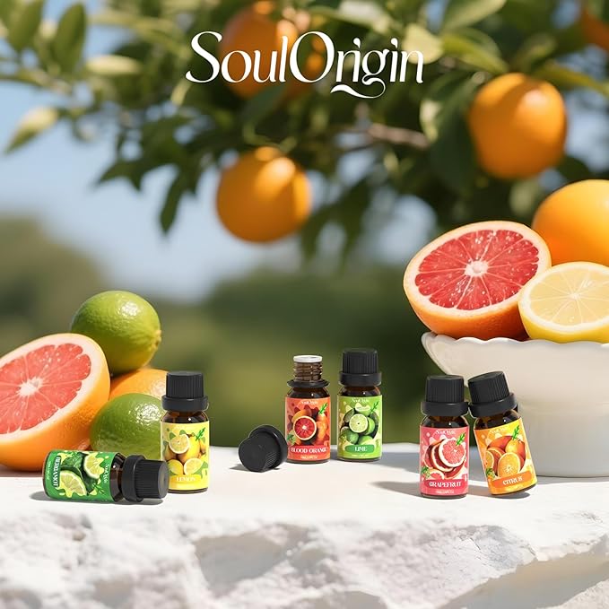 Citrus Essential Oils Set, Fragrance Oil Set for Diffuser, Scent Diffuser Oil for Candle Making- Blood Orange, Lemon, Bergamot, Lime, Grapefruit, Citrus - Bloomnest