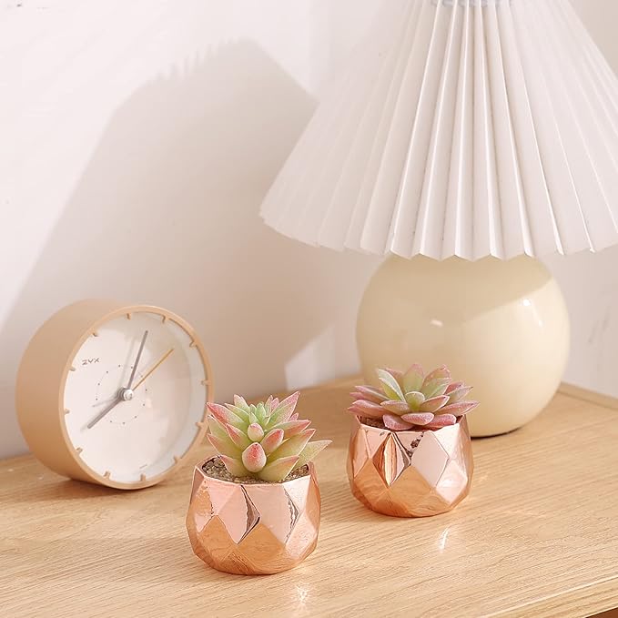 Tiita Artificial Faux Succulents in Pots, Mini Rose Gold Fake Plants for Women Desk, Small Realistic Faux Succulents for Home Office Accessories Window Sill Bathroom Bedroom, Rose Gold - Bloomnest