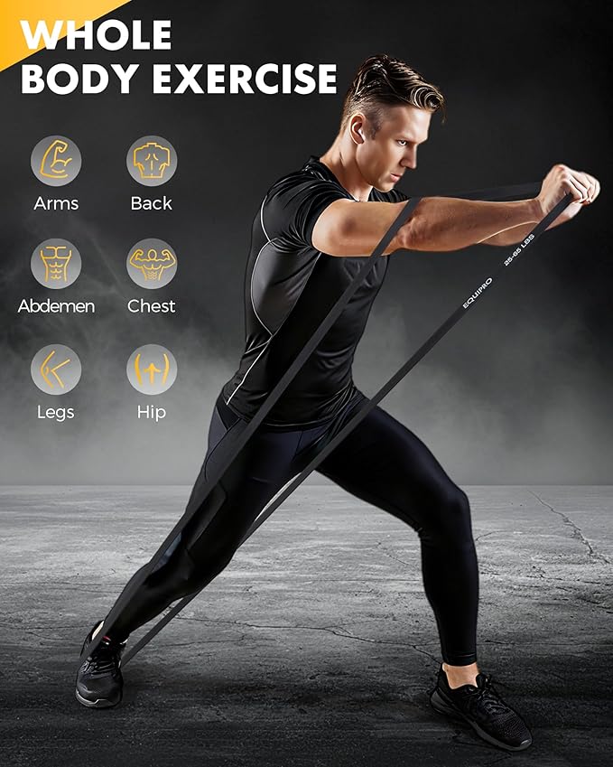 Resistance Bands, Exercise Bands, Resistance Bands for Working Out with Handles and Door Anchor, Workout Bands for Men Women with Protective Sleeve for Fitness Weights Work Out at Home - Bloomnest