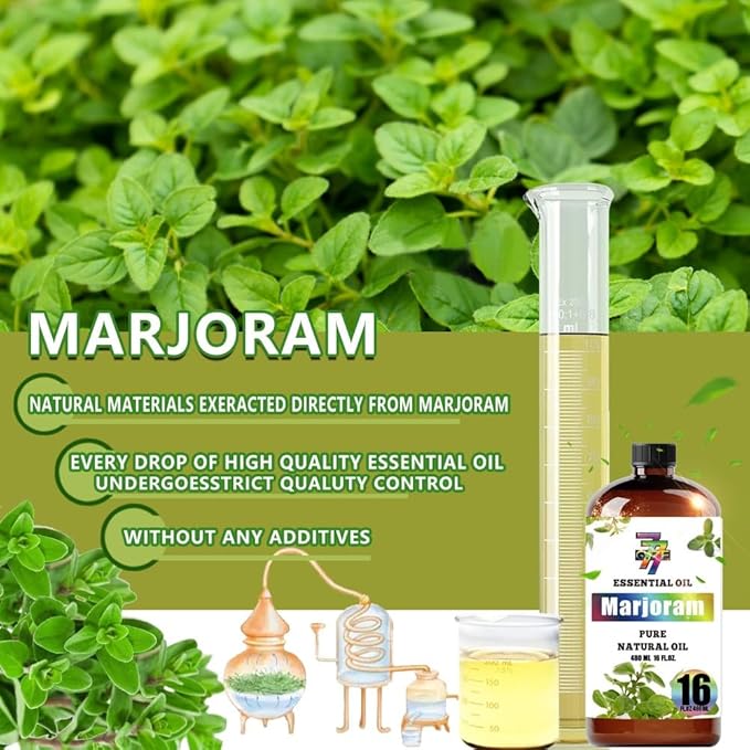 Marjoram Essential Oil (16 oz / 480 ml) – Marjoram Oils for diffusers, humidifiers, Home Baths, Cleaning Products, Yoga, DIY Soaps and DIY Scented Candles - Bloomnest