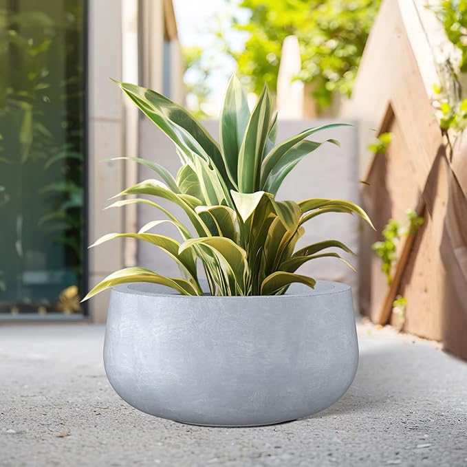 Kante 15.7" Dia Round Concrete Planter, Cement Plant Pots with Drainage Hole and Rubber Plug for Outdoor Indoor Garden Home, Modern Curvaceous Design, Gray - Bloomnest