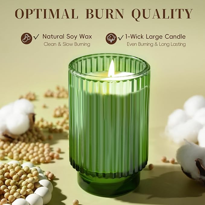Balsam Cedar Scented Candle for Home, Winter Christmas Soy Candle for Gifts, 70 Hours Burning Fir Jar Candle in Glass, Ideal for Holiday Relaxing Ambience - Bloomnest