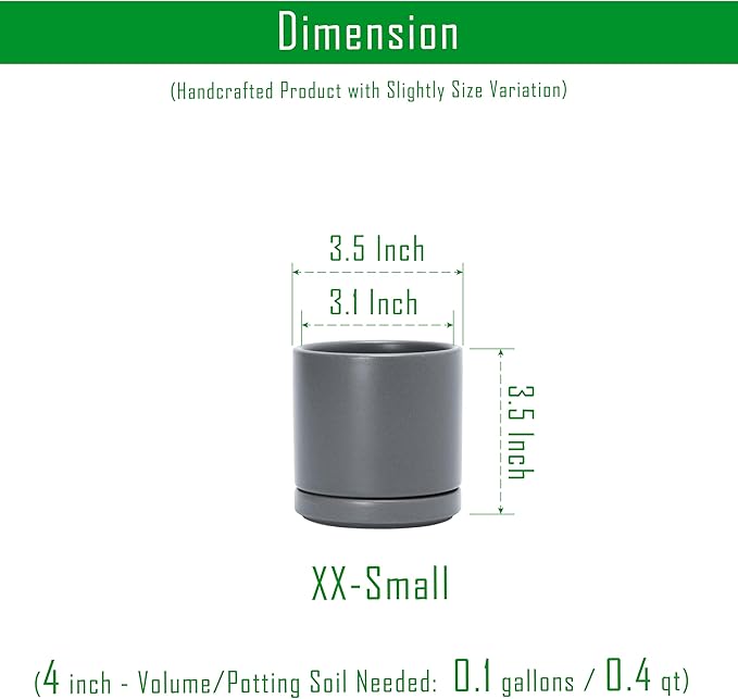 D'vine Dev Set of 4 Small Ceramic Plant Pots, 3.5 Inch Succulent Planter Pot for Plants with Drainage Hole and Saucer, Grey, 94-X-A-3 - Bloomnest
