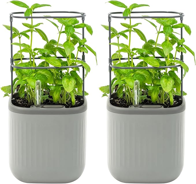 Vego garden Mini Planter Indoor Pots with Trellis Self-Watering Herb Countertop Planter for Climbing Vegetables Flowers Mint Plants Cage 2 Pack- Fog Gray - Bloomnest