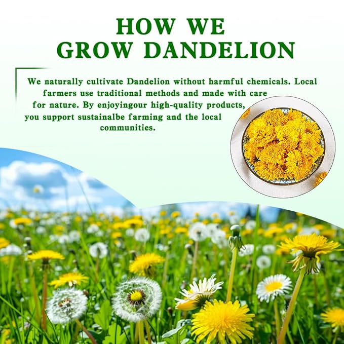 ZenVitality Dandelion Leaf and Root Tea（50 Bags）100% Certified Organic/Decaffeinated Naturally beneficial for liver/blood pressure/blood sugar/digestive health Decaffeinated - Bloomnest