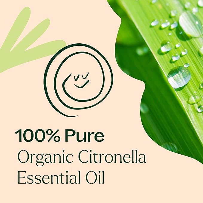 Plant Therapy Citronella Organic Essential Oil 100% Pure, USDA Certified Organic, Undiluted, Natural Aromatherapy, Therapeutic Grade 30 mL (1 oz) - Bloomnest