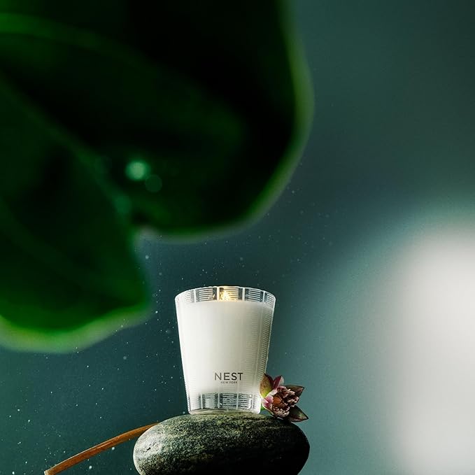 NEST New York Scented Classic Candle, Forest Rain - 8.1 oz - Up to 60-Hour Burn Time - Reusable Glass Vessel - Bloomnest