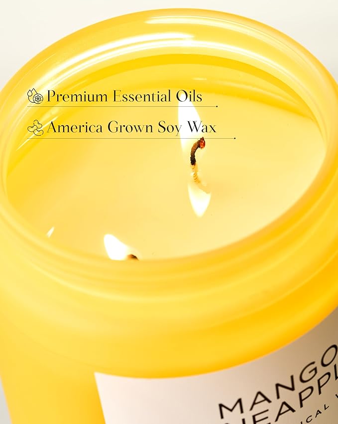 M&SENSE Mango Pineapple Scented Candle, 19.4oz Non Toxic Natural Soy Wax 110 Hours Long Lasting Burn Fruit Scent Summer Gifts for Housewarming, 2 Wick Aromatherapy Candle for Women Men Family Friends - Bloomnest