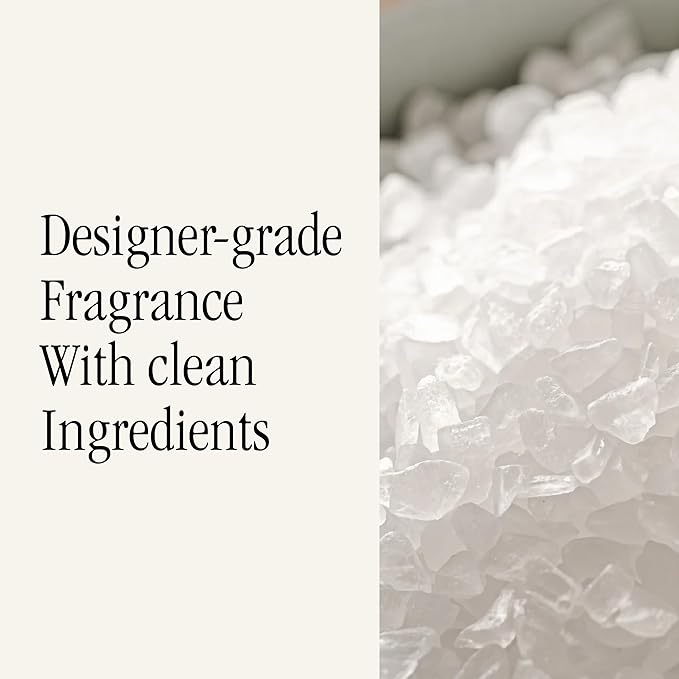 Pura and Studio McGee - Fragrance for Car Diffuser - Clean & Safe Luxury Scent Refill - Long-Lasting for 30 Days of Aroma - Must-Have Accessory - Sea Salt Driftwood - Bloomnest