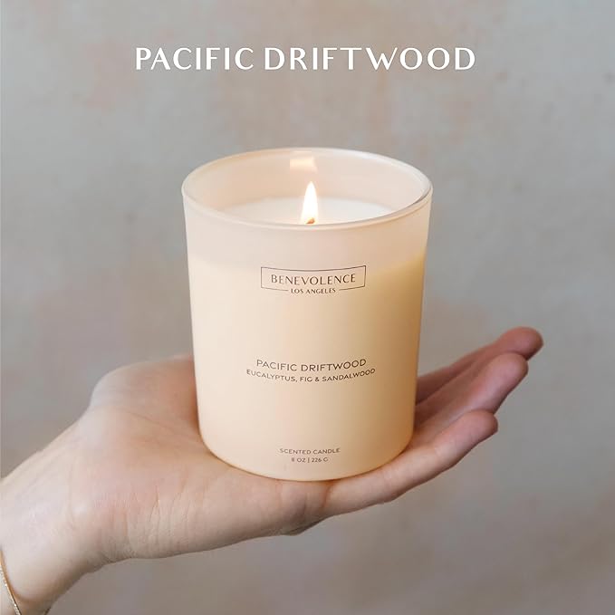 Eucalyptus, Fig & Sandalwood – Benevolence LA Fall Scented Candle for Home | 8oz, 45-Hour Burn | Natural Soy Wax, Cotton Wick | Fresh Autumn Fragrance | Malibu Sands Collection – Gift for Women & Men - Bloomnest