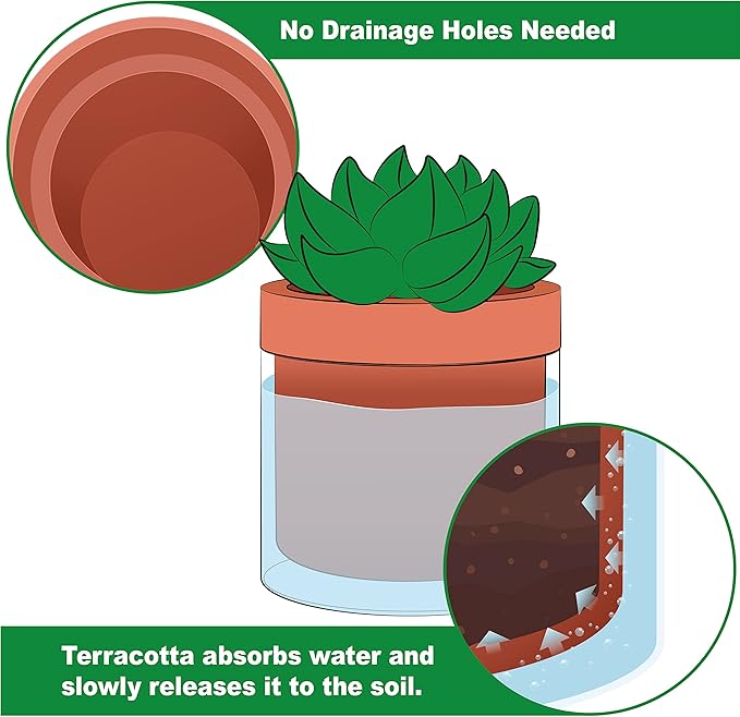 Phoenix Vine 4 Inch Self Watering Planter Pot, Terracotta Clay Pot with Glass Reservoir for Indoor Plants, Herbs, Flowers, Set of 3, 52-A-E-3 - Bloomnest
