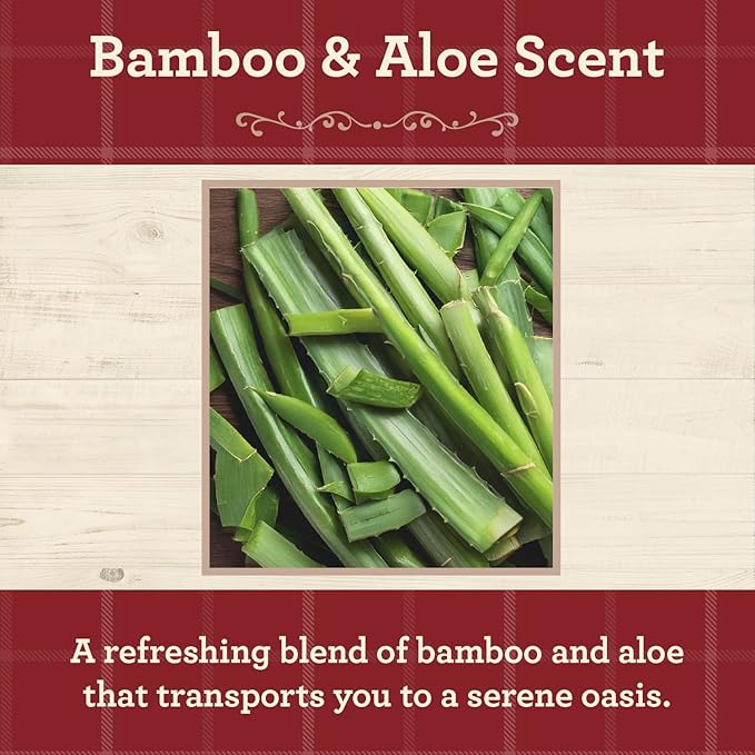 Our Own Candle Company, Bamboo & Aloe Scented Mason Jar Candle, 100 Hour Burn Time, 13 Ounces - Bloomnest
