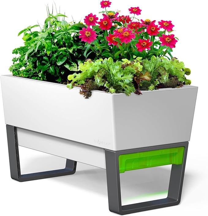 Glowpear Self Watering Planter Box - 29.5", White - UV Stable, Scalable Urban Raised Garden Bed with Water Gauge, Indoor Outdoor for Vegetables, Flowers, Herbs, and Succulents, Gardening - Bloomnest