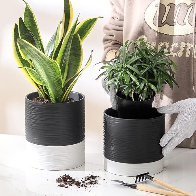 Nihow Ceramic Plant Pot: 6 Inch Planter with Drainage Hole & Saucer for Indoor & Outdoor Plants - Cylinder Round Flower Pot for Succulent/Herbs/Violets - Black & White - Bloomnest