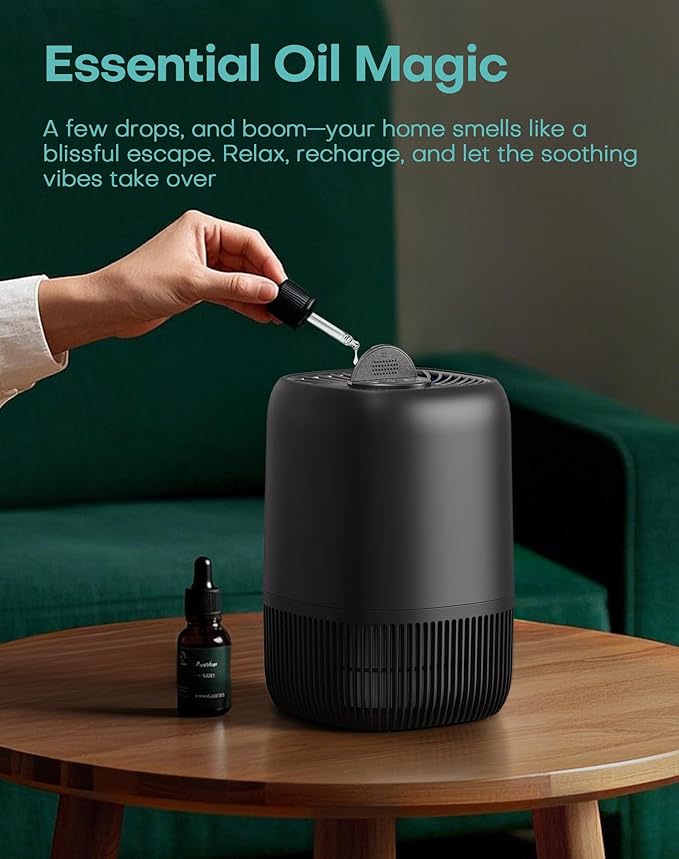 Air Purifiers for Office with H13 True HEPA Filter Up to 1076 Ft² for Pet Family, Pollen, Smoke, Compact Air Cleaner with 3 Speeds, Timer, Aroma Quiet, 360°Intake, for Home Bedroom, Black - Bloomnest