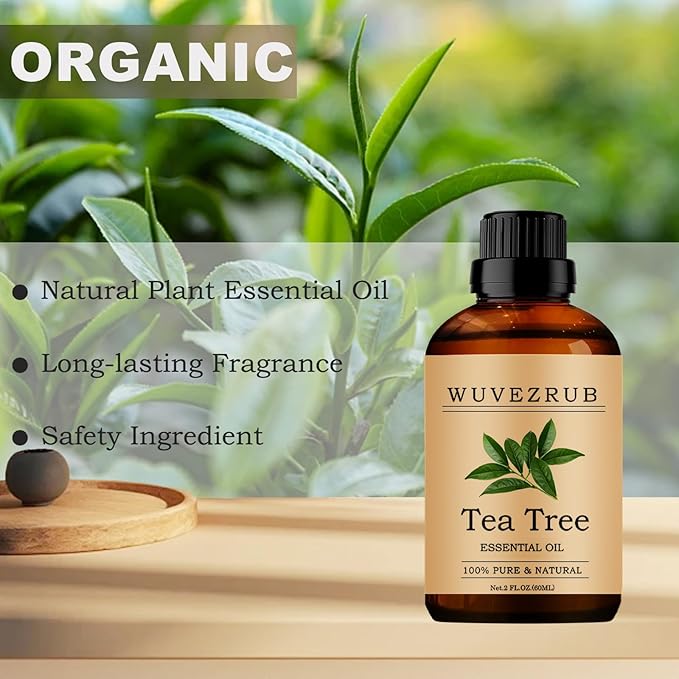 Tea Tree Essential Oils, 60ML 100% Pure and Natural Essential Oil for Aromatherapy Diffuser - Tea Tree /2 Fl Oz - Bloomnest