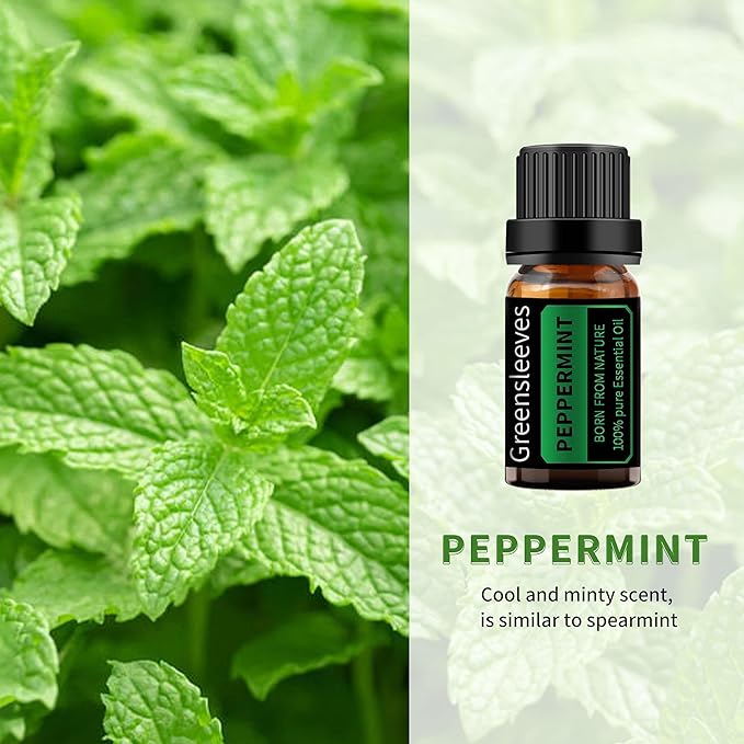 GREENSLEEVES Cinnamon Peppermint Essential Oil Set, 2 x 10ml Pure Plant-Based Fragrance Oil for Aromatherapy, Essential Oils for Diffuser, Massage, Bath Bomb, Scented Candle Soap Making GREENSLEEVES