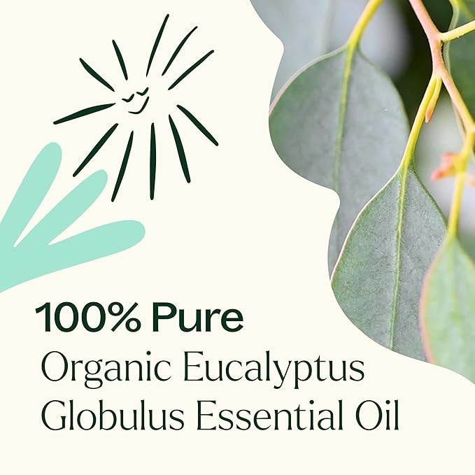 Plant Therapy Organic Eucalyptus Globulus Essential Oil 100% Pure, USDA Certified Organic, Undiluted, Natural Aromatherapy, Therapeutic Grade 10 mL (1/3 oz) - Bloomnest