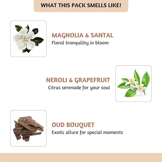 Folkulture Essential Oils for Home | Set of 6 (0.34 fl oz x 6) Beach Diffuser Oil for Relaxation | Coconut Essential Oil for Meditation | Aqua, Oud, Orange Zest Essential Oils for Women - Bloomnest