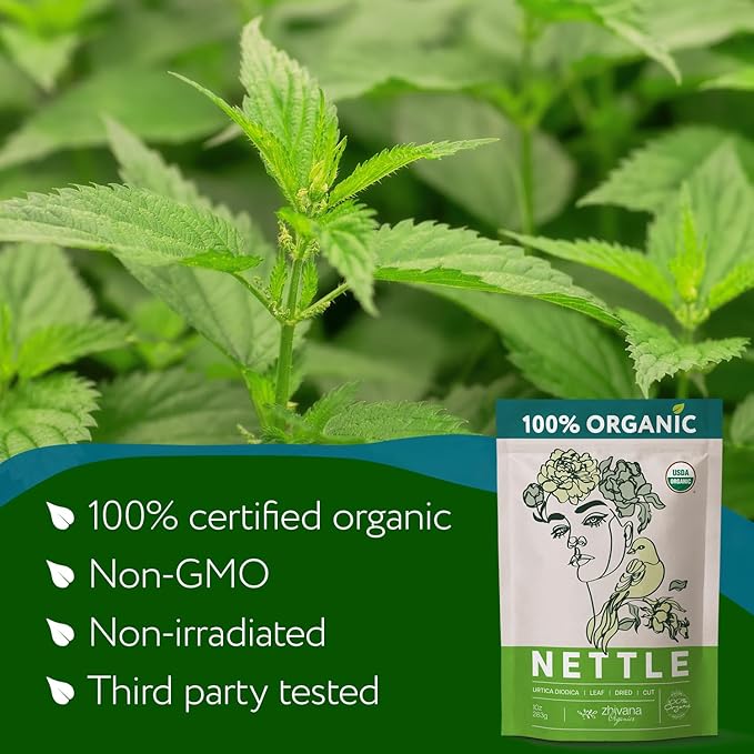 Zhivana Organics Nettle Tea – Nettle Leaf Organic, Nettle Tea Loose Leaf, Stinging Nettles Loose Leaf Organic, Ortiga Verde Organica - Dried Herbs for Medicinal Use - 8oz - Bloomnest