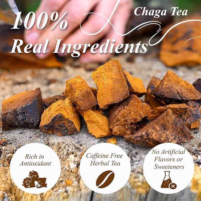 WT WEETEE Chaga Tea Bags 100 Count, 100% Siberian Birch Chaga Mushroom Tea, Caffeine-Free - Rich in Antioxidants - Bloomnest