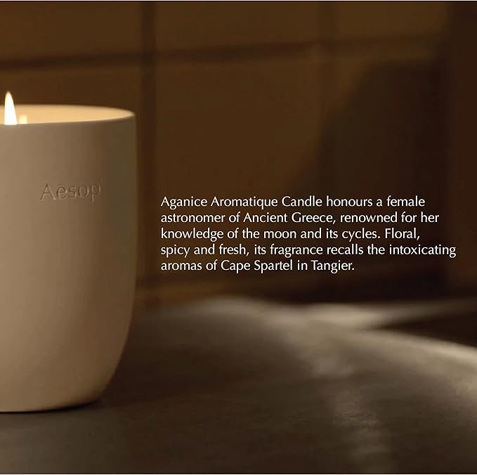 Aesop Ptolemy Aromatique Candle | Resinous, Earthy, Woody Scented | 55-65 Hour Burn Time | Vegan-Friendly | 10.5 oz - Bloomnest